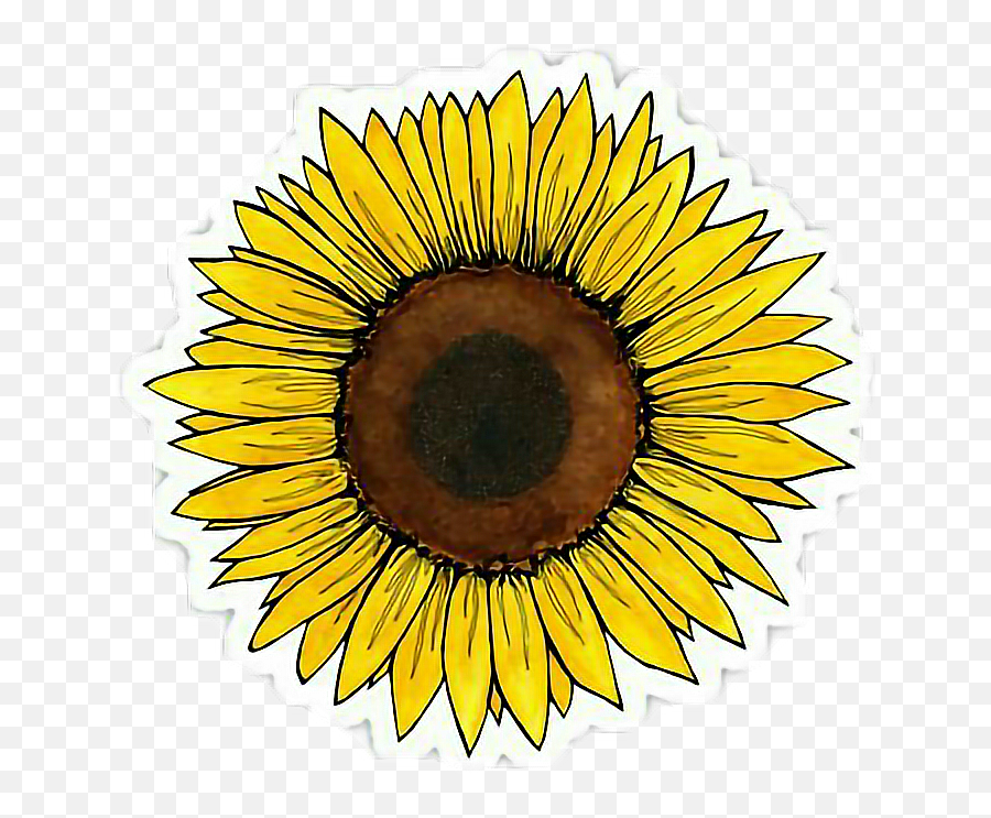 Free Transparent Sticker Png Download - Yellow Aesthetic Stickers Sunflower Emoji,Aesthetic Stickers Png