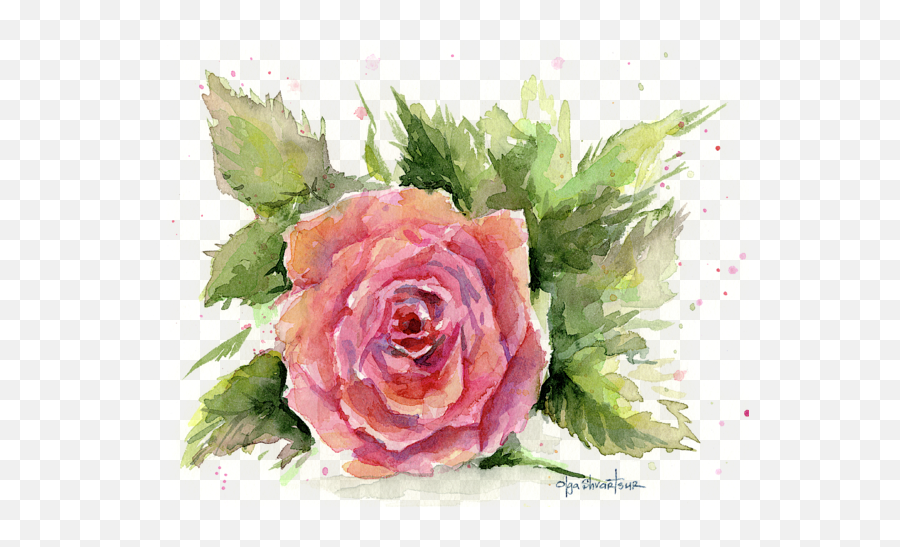 Watercolor Rose T - Shirt Watercolor Rose Flower Art Emoji,Watercolor Flower Png