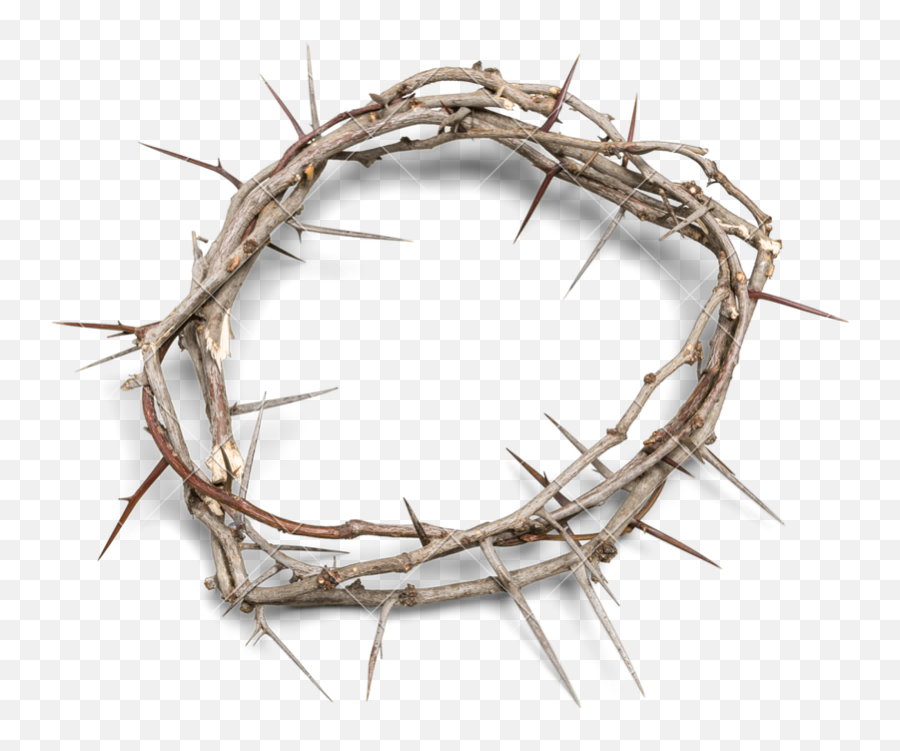 Download Crown Of Thorns Background - Called To Reign By Clear Background Crown Of Thorns Png Emoji,Crown Of Thorns Png