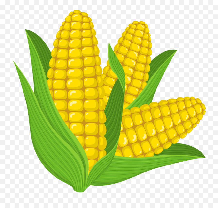 Corn Clipart Transparent 7 - Corn Cartoon Emoji,Corn Clipart