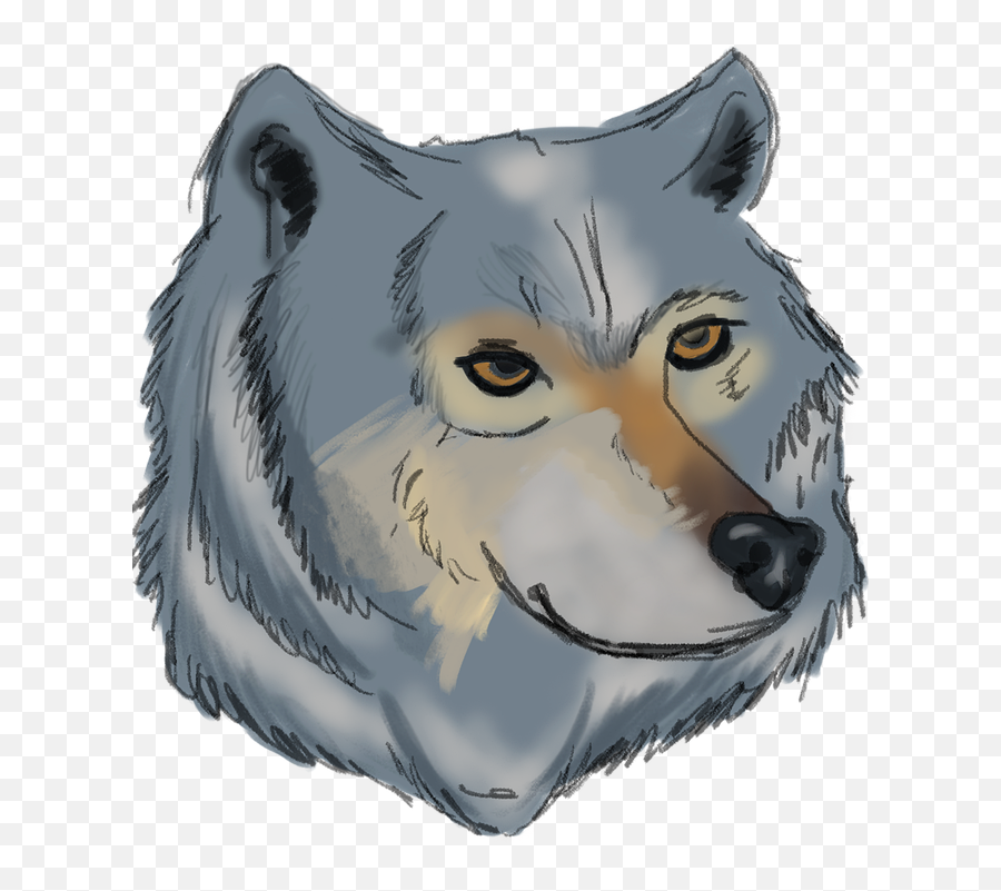 Wildlife Head Wild Mammal Wolf - Northern Breed Group Emoji,Wolf Face Png