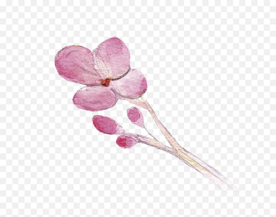 Watercolor Roses Png Photos - Png 9540 Free Png Images Emoji,Pink Roses Png