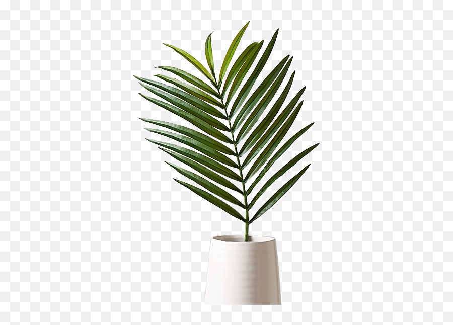 Faux Phoenix Palm Leaf 44 Emoji,Palm Leaves Transparent