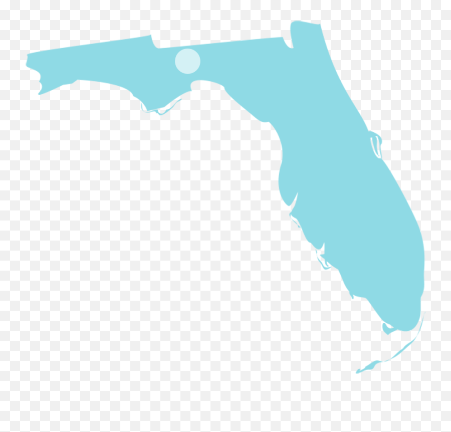 State Of Florida Png U0026 Free State Of Floridapng Transparent - Firearms Emoji,Florida Outline Png