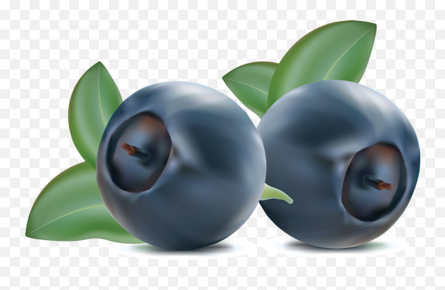 Blueberries Png Images Hd Png Play - Blueberry Clipart Png Emoji,Blueberries Png