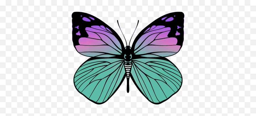 Hmhb Of Broward Forget Me Not - Legacy Wings Emoji,Forget Me Not Clipart