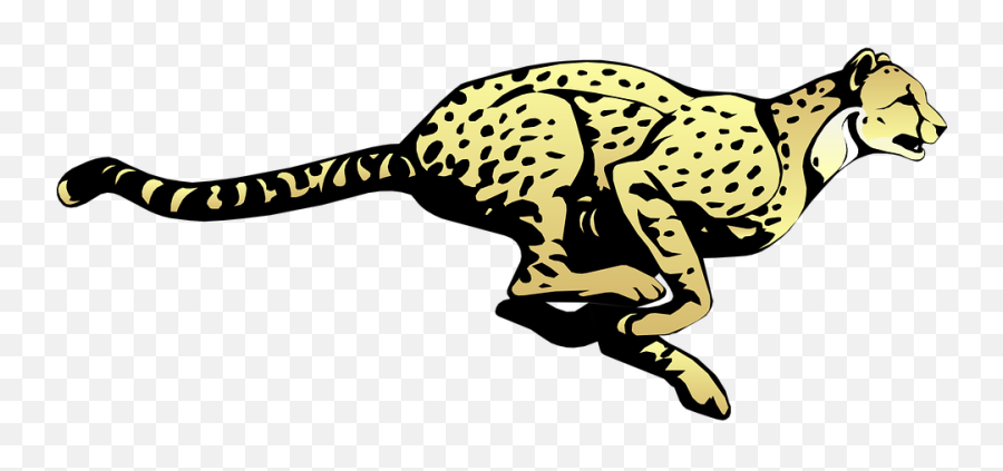 Cheetah Braintest Emoji,Dinosaur Tracks Clipart