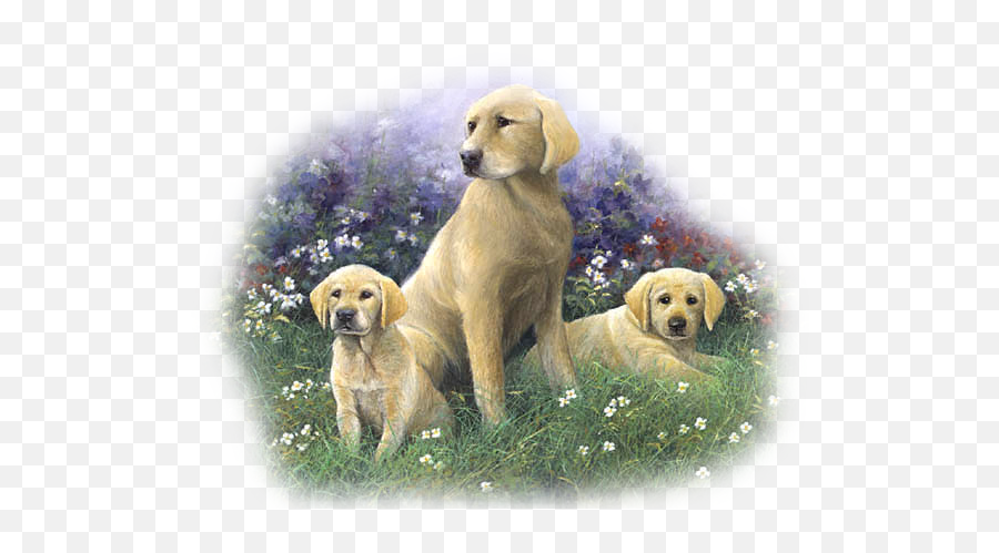 Clip Art Graphics - Labrador Retriever Emoji,Golden Retriever Clipart