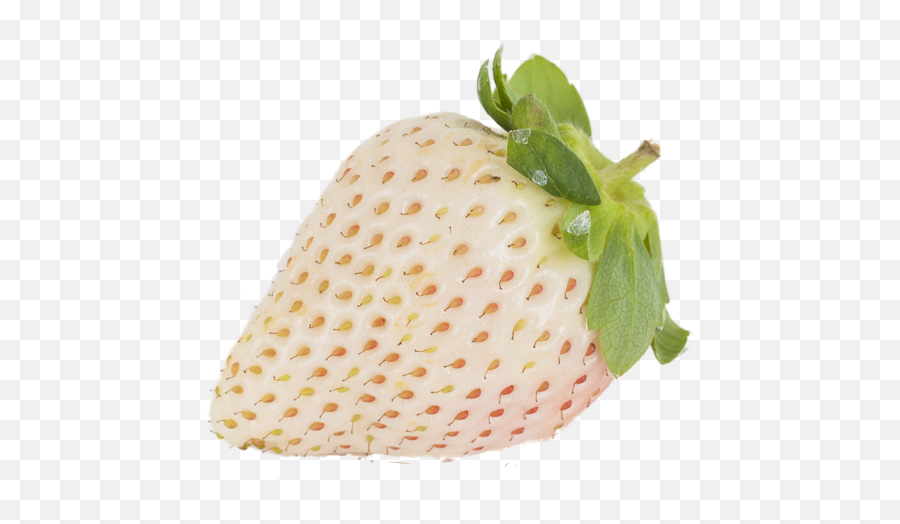 White Strawberry Free Png Image Png Arts - White Strawberry Transparent Emoji,Strawberry Transparent Background