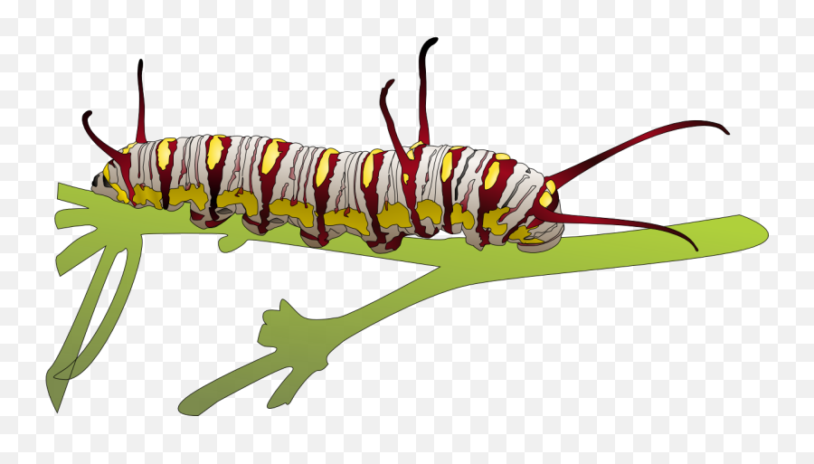 Caterpillar Free Png Image - Higad Clipart Transparent Caterpillar Png Emoji,Caterpillar Clipart