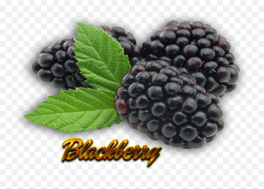 Blackberry Png Pic - Blackberry Fruit Transparent Background Emoji,Fruit Transparent Background