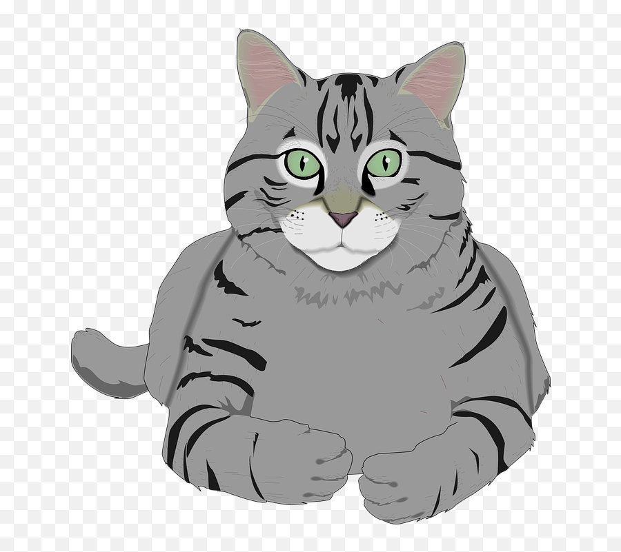 Grey Tabby Cat Cartoon Transparent Png Emoji,Cat Whiskers Clipart
