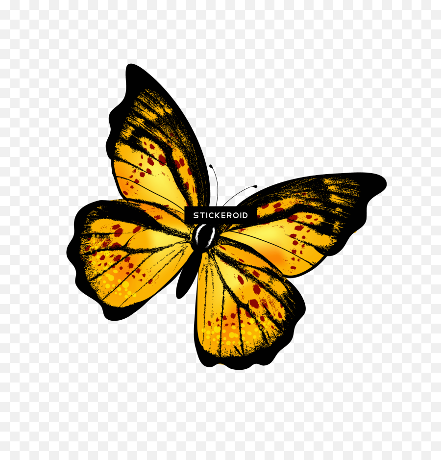 Red And Yellow Butterfly Logo - Logodix Emoji,Watercolor Butterfly Png