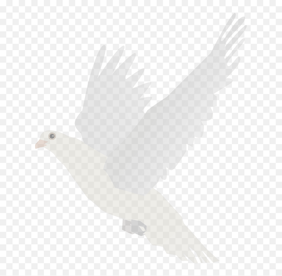 White Dove Clipart Free Download Transparent Png Creazilla Emoji,Free Dove Clipart