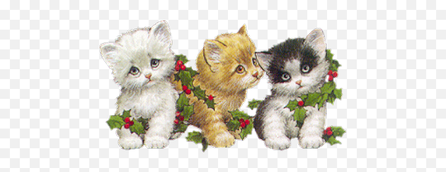 Cat Transparent Png Kitty Kitten Cats Kittens Christmas Emoji,Kitten Transparent Background