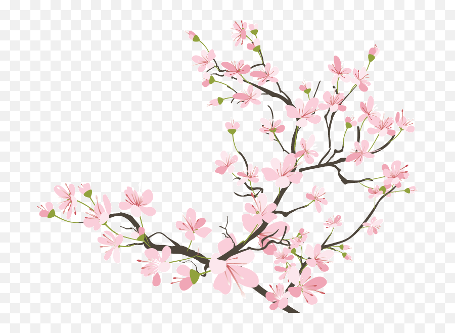 Cherry Blossom Branch Transparent - Cherry Blossom Png Emoji,Cherry Blossom Clipart
