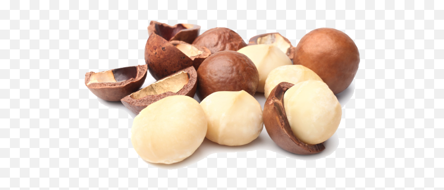 Macadamia Nuts Png Photo - Noci Macadamia Emoji,Nuts Png
