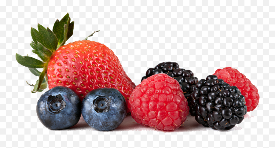 Download Berries Transparent Hq Png Image Freepngimg - Wild Berries Png Emoji,Blueberries Png