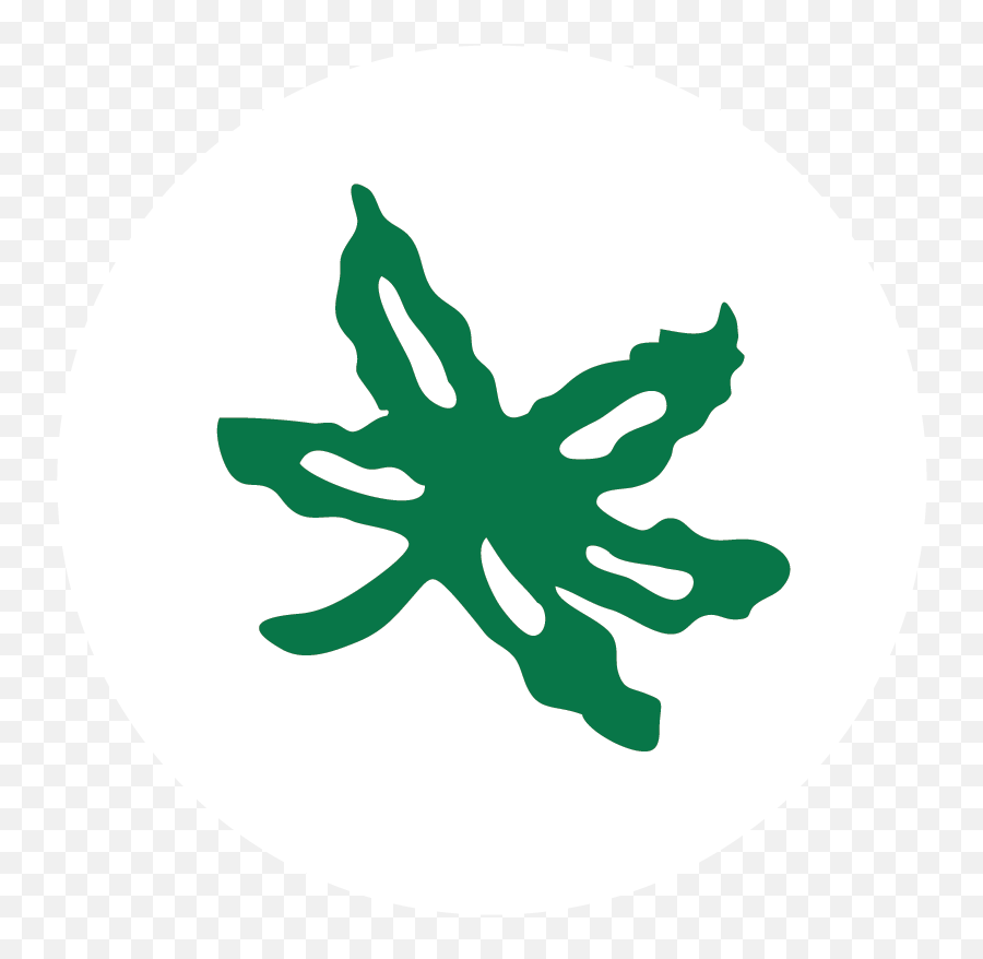 Buckeye Leaf Vs Marijuana Leaf - Ohio State Buckeye Leaf Logo Emoji,Ohio State Logo