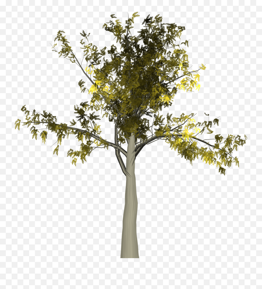 Tree With Autumn Leaves Free Image Download Emoji,Autumn Leaves Transparent Background