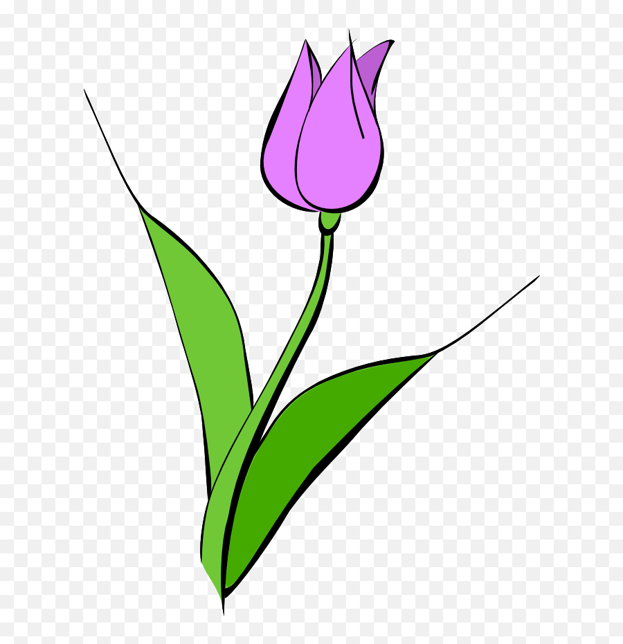 Tulip Clipart Free Images - Tulip Clipart Emoji,Tulip Clipart