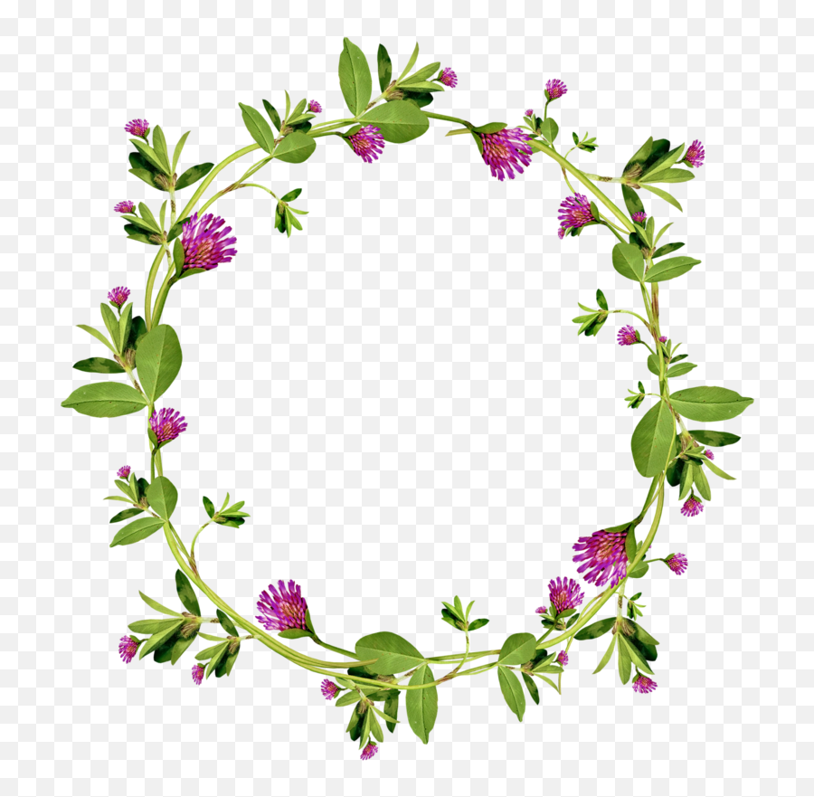 Garland Floral Design Wreath - Green Garland Png Download Emoji,Floral Wreath Transparent Background