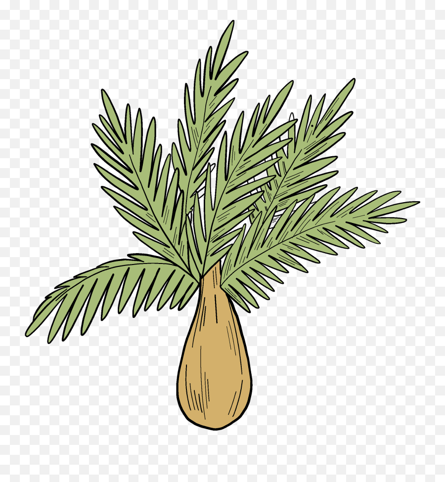 Palm Tree Clipart Free Download Transparent Png Creazilla - Fresh Emoji,Palm Trees Clipart