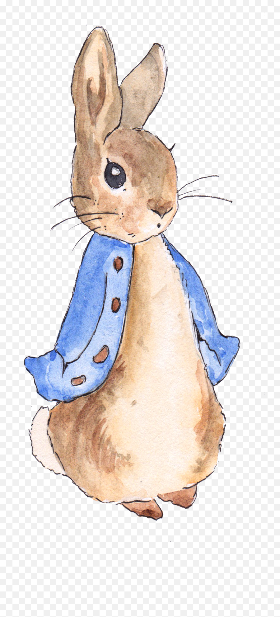 Download Hd Peter Rabbit Png Free - Peter Rabbit Png Emoji,Rabbit Clipart