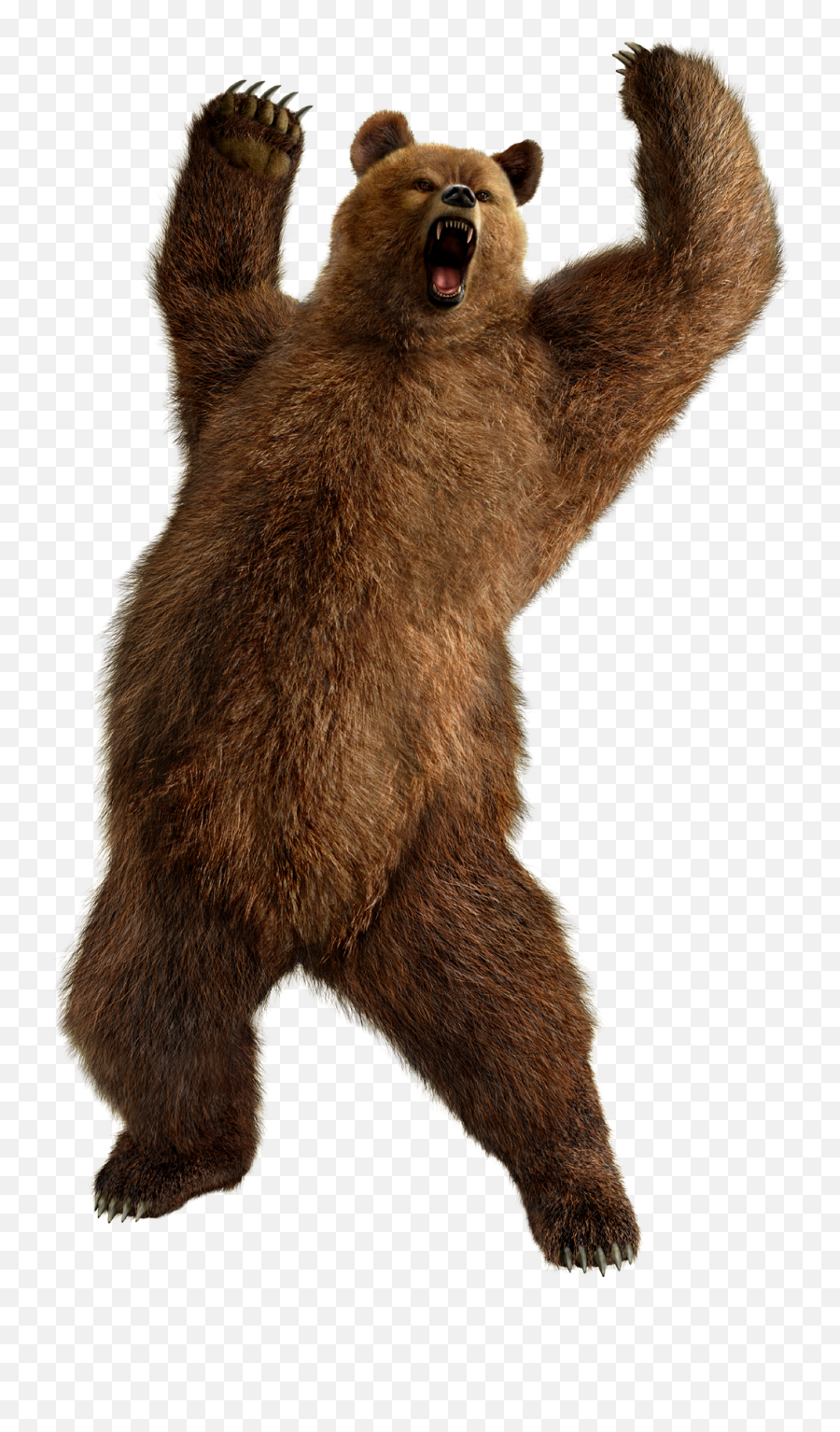 Grizzly Bear Standing Png Image - Bear Png Emoji,Grizzly Bear Png