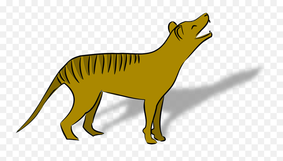 Download Free Photo Of Thylacineanimalaustralia - Thylacine Clipart Emoji,Tiger Stripes Clipart
