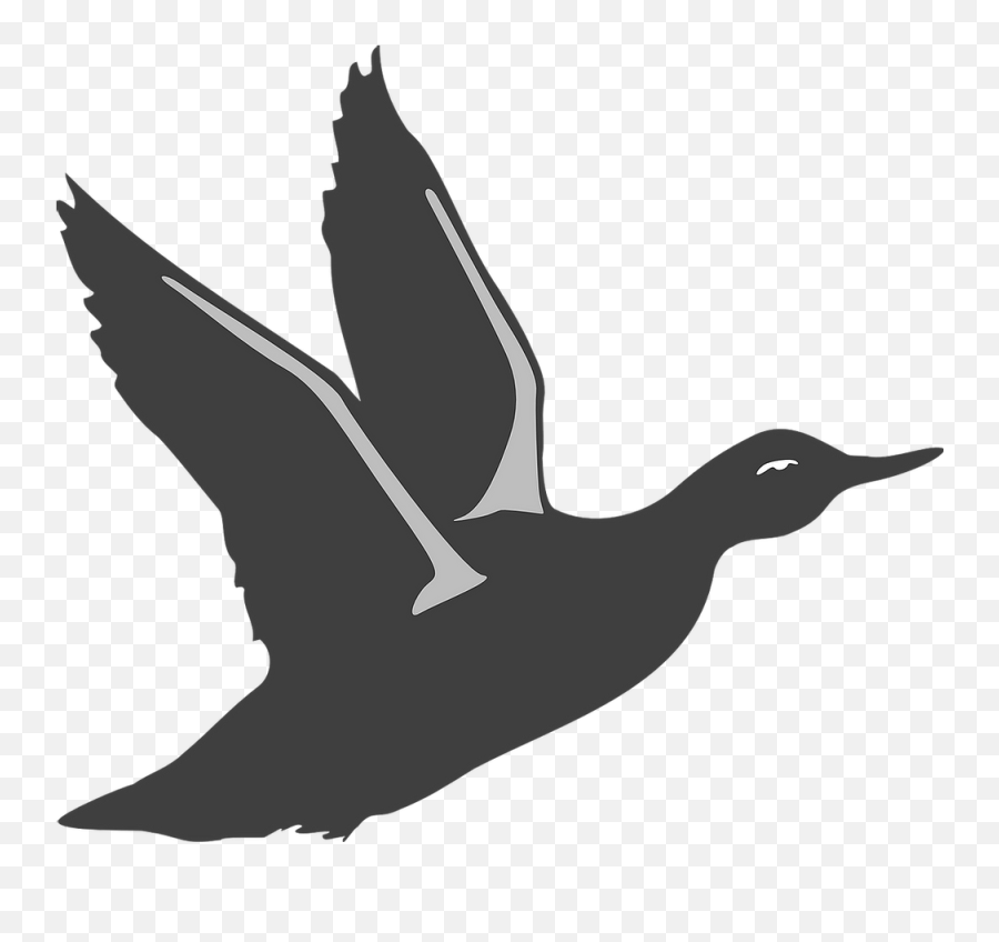 2020 Ducks Unlimited Banquet Scheduled For March 14th - Transparent Flying Duck Clipart Emoji,Ducks Unlimited Logo