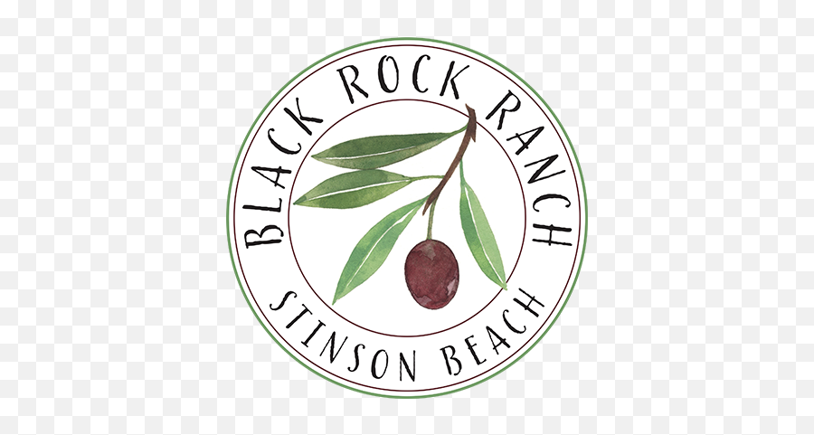 Black Rock Ranch Olives Eggs Wool U0026 Workshops In Stinson - Pakistan Academy Of Family Physicians Emoji,Blackrock Logo