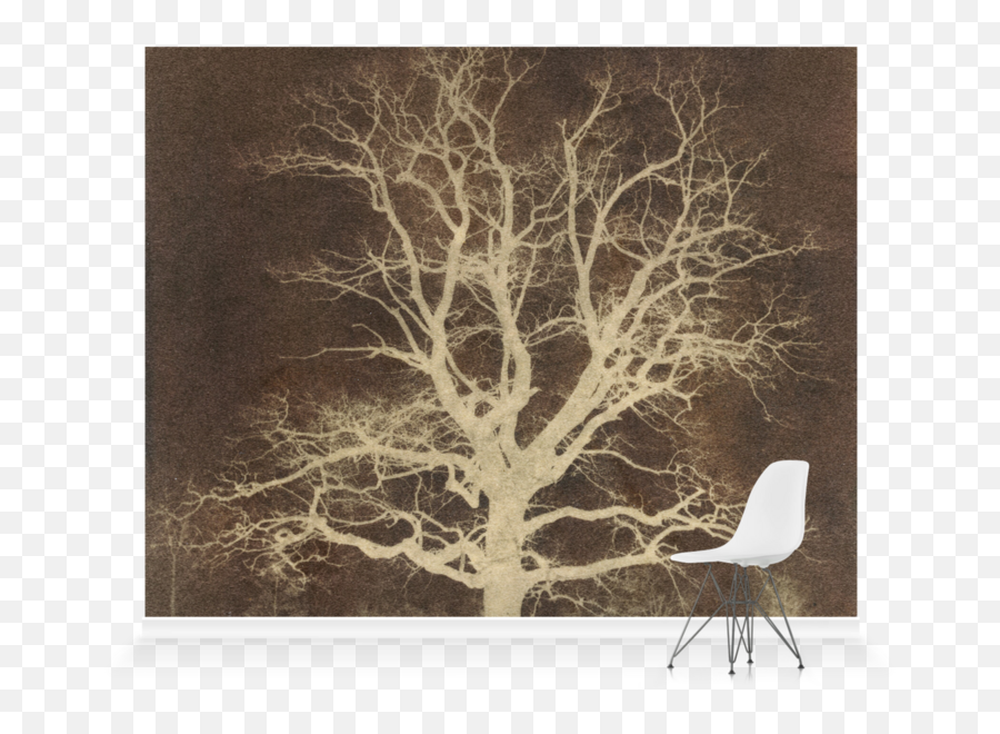 Oak Treeu0027 Wallpaper Mural Surfaceview - William Fox Talbot Emoji,Oak Tree Png