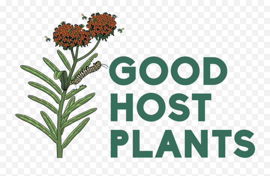 Philadelphia Native Plant Nursery Good Host Plants - Terima Kost Putri Emoji,Transparent Plant