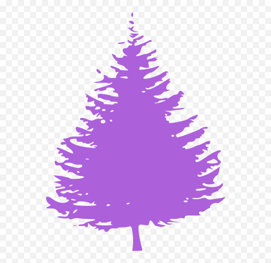 Pine Tree Silhouette - Pine Tree Vector Png Emoji,Pine Tree Silhouette Png