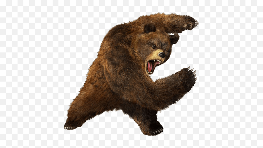 Download Bear Png 5 Hq Png Image - Bear Png Emoji,Bear Png