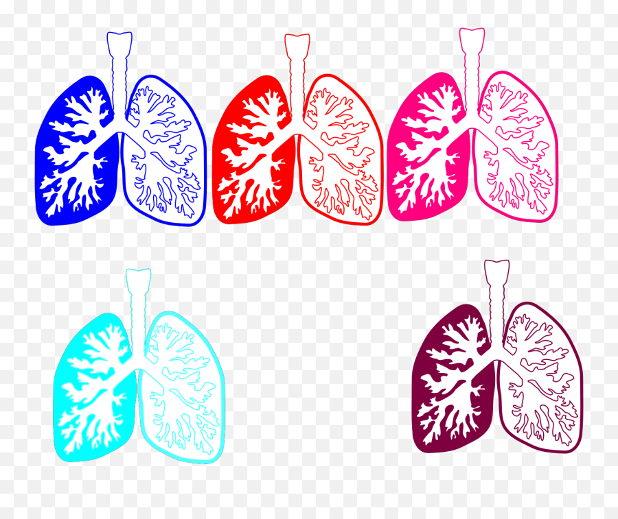 Lung Color Tika Hp Due Svg Vector Lung Color Tika Hp Due - Natural Foods Emoji,Lung Clipart