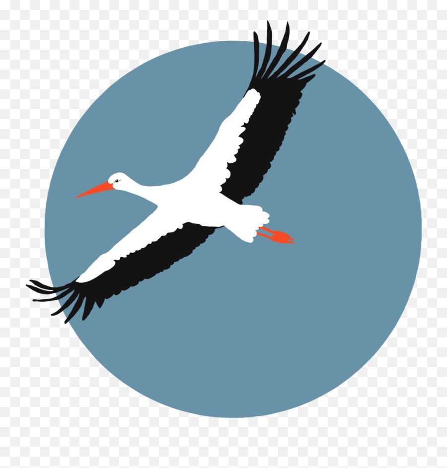 Report A Sighting U2014 White Stork Project Emoji,Stork Png