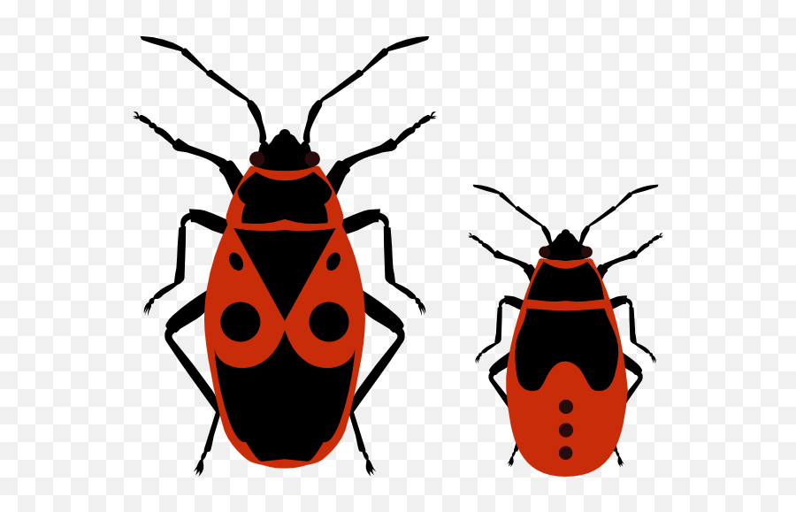 True Bug Png Clipart - Firebug Nymph Emoji,Bug Clipart