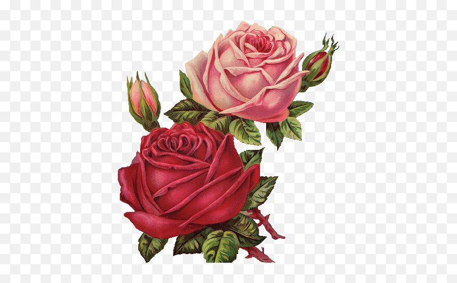 Angels With Roses Clipart - Vintage Rose Art Png Emoji,Roses Clipart