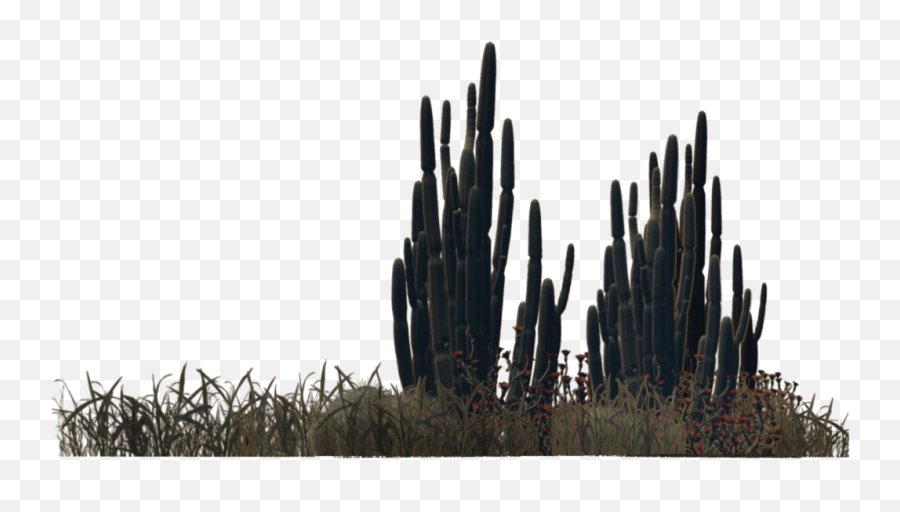 Desert Bushes Png - Desert Cactus Png Emoji,Cactus Png