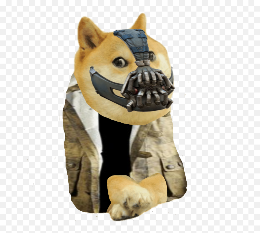 Le Bane But Doge Has Arrived Rdogelore Ironic Doge Emoji,Bane Png