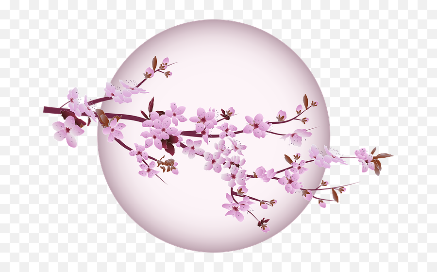 Cherry Blossom Vector - Kiraz Çiçei Aac Çizimi Emoji,Cherry Blossom Clipart