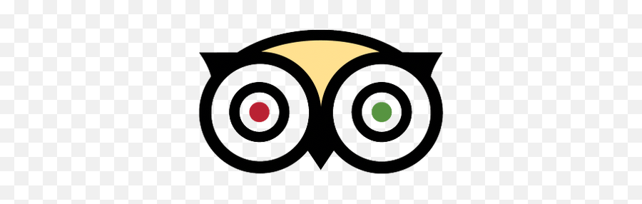 Spotify Green Logo Transparent Png - Stickpng Owl Eyes Owl Logo Emoji,Cute Spotify Logo