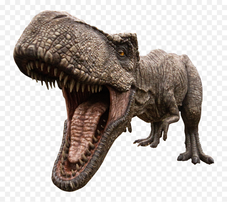 Dinosaur Trex Tyrannosaurus - Dino Park Emoji,Trex Png