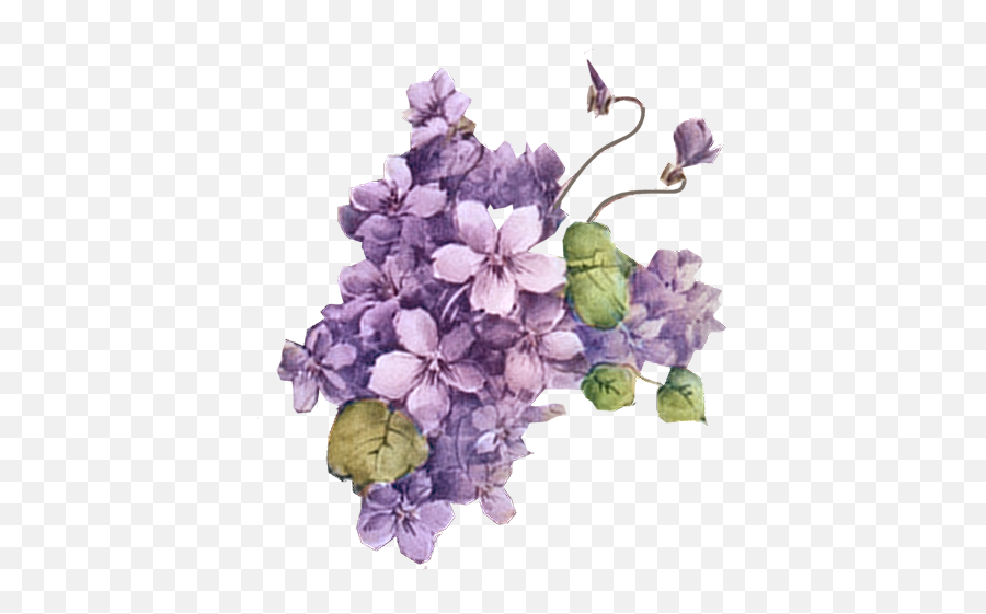 Flower 5 Tuckdb Org Emoji,Purple Flowers Png
