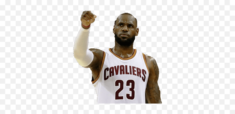 Download Selfie With Lebron James Free For Android - Selfie Emoji,Lebron Face Png