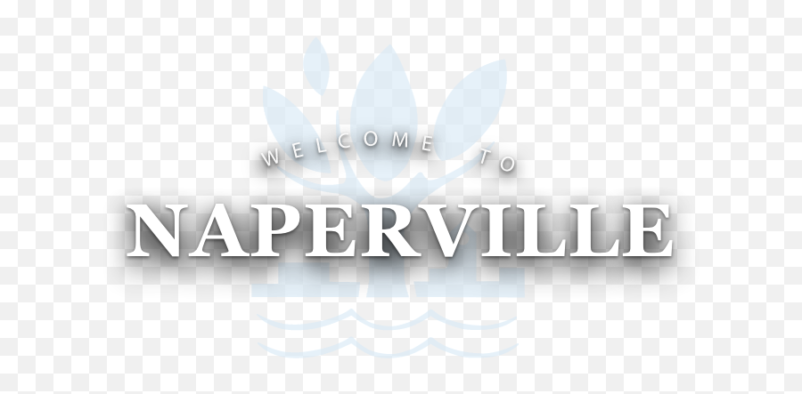 Home The City Of Naperville - Anker Sport Emoji,Illinois Logo