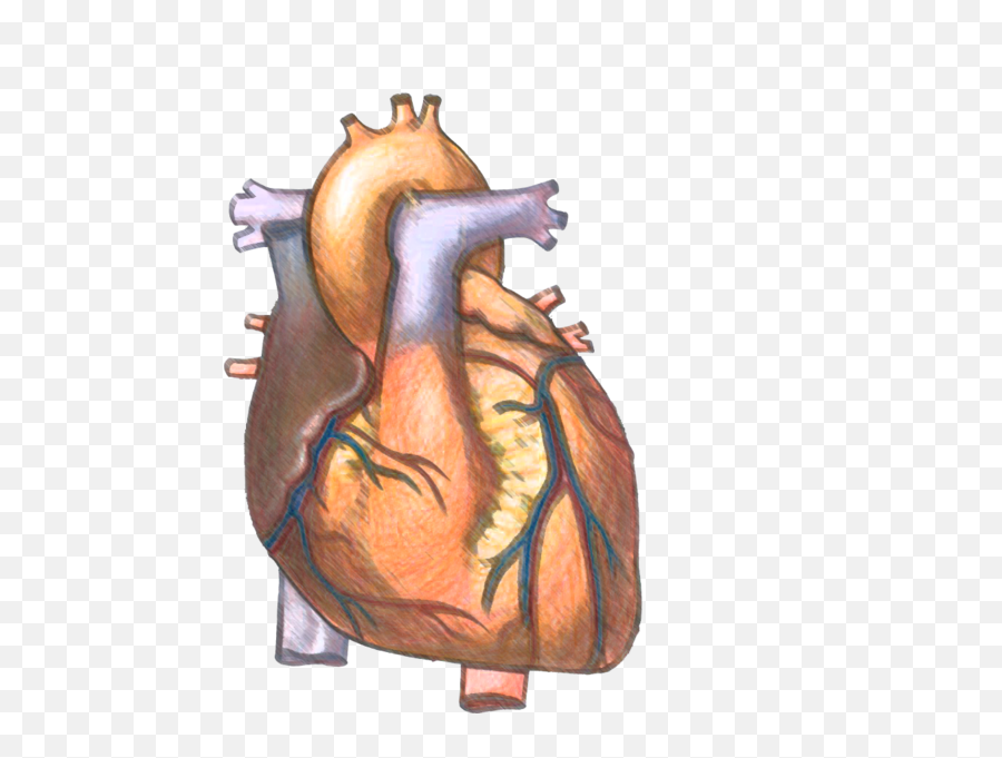 A Real Heart - Educação Física Por Amor Emoji,Real Heart Png
