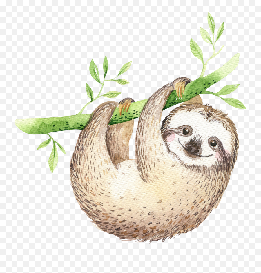 Sloth Cartoon - Sloth Clipart Emoji,Sloth Clipart